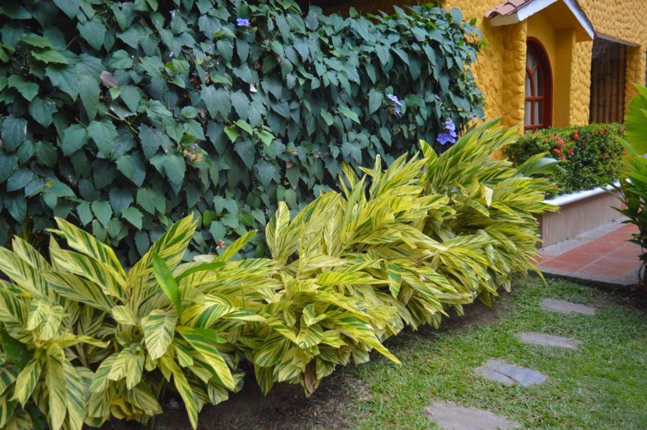 Eco Hostal Kuima เอลไซโน ภายนอก รูปภาพ