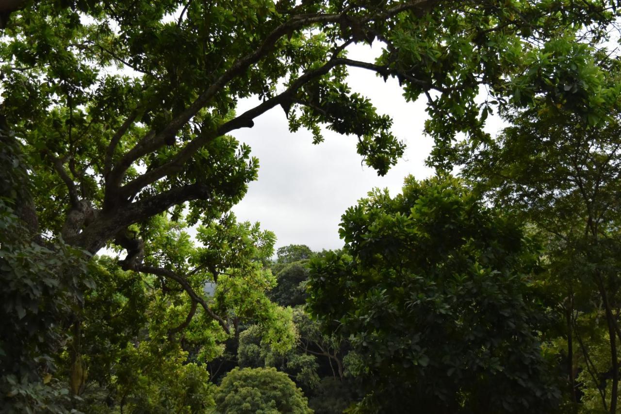Eco Hostal Kuima เอลไซโน ภายนอก รูปภาพ
