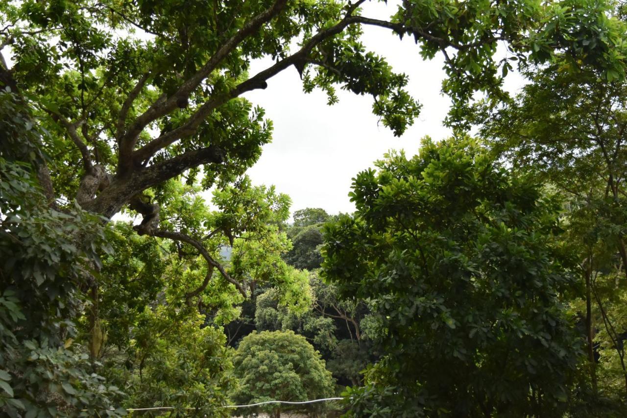 Eco Hostal Kuima เอลไซโน ภายนอก รูปภาพ